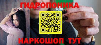 прущие крисы Малгобек