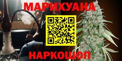 прущие крисы Малгобек